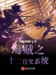 海贼王之十二符咒系统