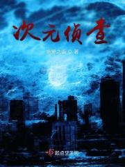 次元侦查