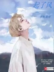 起了风