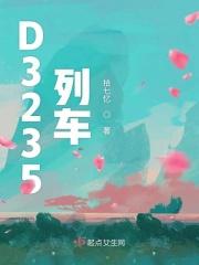 D3235列车