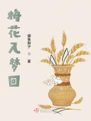 梅花入梦回