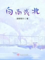 向南或北