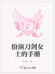 扮演刀剑女士的手册