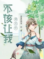 不该让我遇见你