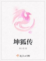坤狐传