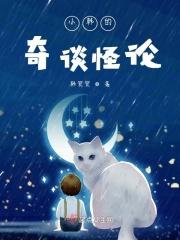 小韩的奇谈怪论