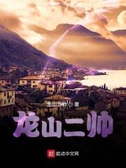 龙山二帅