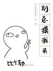 别总摸我头