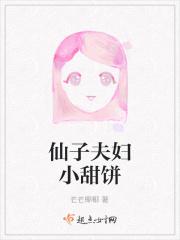 仙子夫妇小甜饼