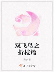 双飞鸟之折枝篇