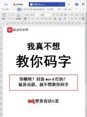 我真不想教你码字