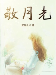 敬月光
