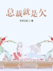 总裁就是欠