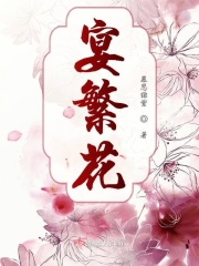 宴繁花
